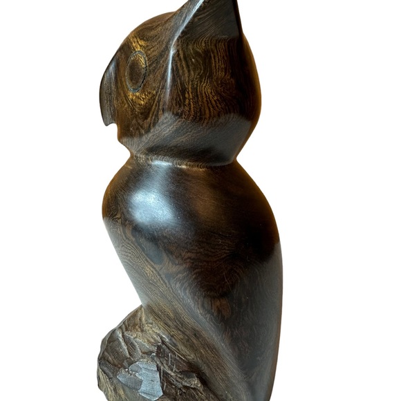 Wood Owl - Picture 4 of 8